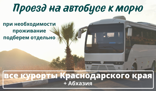 Проезд на автобусе из Иваново на юг 2022